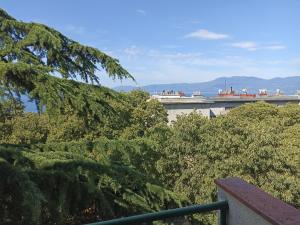 a view of a building with trees in the foreground at Apartman Pećine in Rijeka