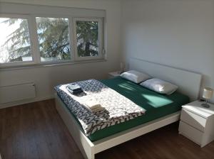 a bedroom with a bed in a room with two windows at Apartman Pećine in Rijeka