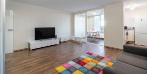 sala de estar con TV y alfombra colorida en Apartment am Eiskanal, en Augsburg