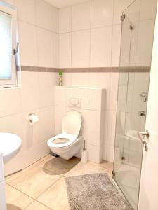 een badkamer met een toilet, een wastafel en een douche bij Alpen Panorama view Luxury House with green Garden in Buchs