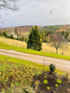 a road in the middle of a field with trees at Coachmans Cottage in Aberlour