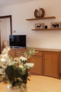 una sala de estar con TV de pantalla plana en un armario de madera en Ferienwohnung im Allgäu mit Bergsicht en Oberreute