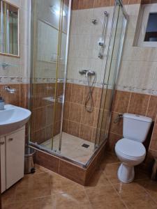 a bathroom with a shower and a toilet and a sink at Villa Dora in Mielno