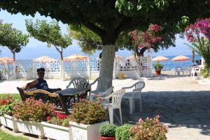 un hombre sentado en una silla bajo un árbol en Akrogiali Beach Rooms, en Amarinto