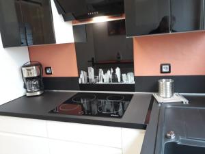 Kuchyňa alebo kuchynka v ubytovaní Bel appartement centre Rouen avec terrasse