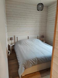 1 dormitorio con 1 cama y 2 mesas con lámparas en Bienvenue à L'Arbresle et son cœur historique !, en L'Arbresle