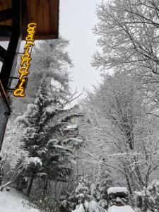 a snow covered street with a hotel sign and a tree at Casa Flandria in Sinaia