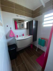 un bagno con lavandino e specchio di Villa Papillon a Saint-François Altre 36 foto