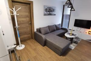 uma sala de estar com um sofá e uma televisão em Borovi 2 Divcibare/apartman 7 em Divčibare