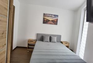 Llit o llits en una habitació de Borovi 2, apartman 7