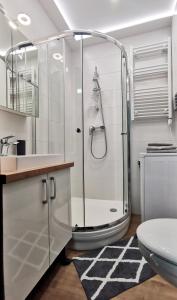a bathroom with a shower and a sink and a toilet at Artic Home Apartman-nearby city center! in Pécs