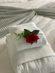 a red rose sitting on top of towels on a bed at SEA FRONT in Armação de Pêra