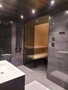 塔那比的住宿－Tärnaby Ry Vy，带淋浴、盥洗盆和镜子的浴室