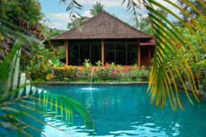 a swimming pool with a building in the background at Amartya Puri Green Cottages in Munduk