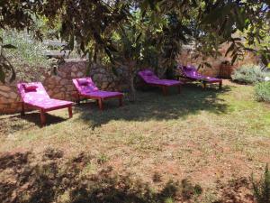 Gallery image of Holiday home Sea La Vie in Rovinj +24 photos