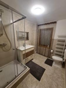 ein Bad mit einer Dusche, einem WC und einem Waschbecken in der Unterkunft Ferienhaus Auszeit in Seebach