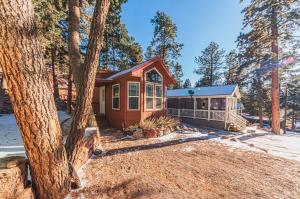 a cabin in the woods with a tree at Tiny Haven Spacious Feel, BBQ & Peak Views in Woodland Park