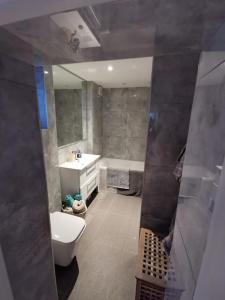 a bathroom with a sink and a toilet and a tub at Entire apartment L B Haringey, Alexandra palace in London