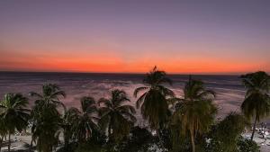 a group of palm trees on a beach at sunset at Vista increíble Chirama Rodadero in Santa Marta
