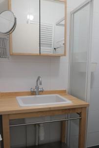 ein Waschbecken mit einem Spiegel und einer Dusche in der Unterkunft Orka - Wijk de Brabander 93 in Cadzand