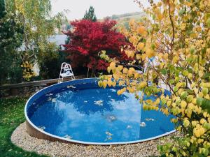 a blue swimming pool in a yard with a tree at Chata Anděl in Vrchlabí +30 photos