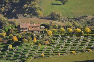 an aerial view of a garden with a house at Agriturismo La Valle Dimenticata in Urbania