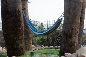 a hammock between two palm trees in a garden at Casa Rural Familiar Piscina Sierra Balumba in Cobatillas