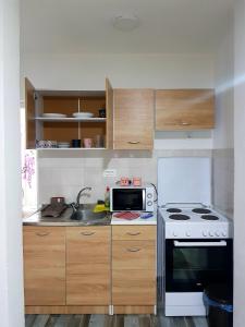 Virtuvė arba virtuvėlė apgyvendinimo įstaigoje Apollon home apartments