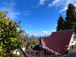dom z czerwonym dachem i drzewem w obiekcie Abrigo da Serra- Nature Trails w mieście Santana