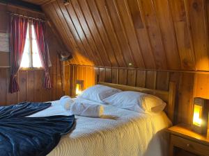 ein Schlafzimmer mit einem Bett mit einer Holzwand in der Unterkunft Abrigo da Serra- Nature Trails in Santana