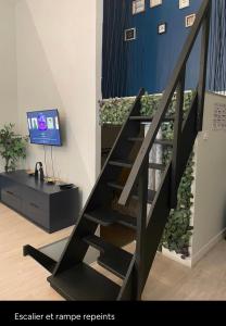Televízia a/alebo spoločenská miestnosť v ubytovaní LE BERLIER 60m2 + COUR PRIVÉE - CENTRE HISTORIQUE