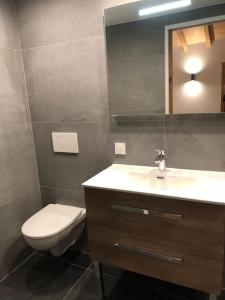 een badkamer met een toilet, een wastafel en een spiegel bij Meribel Chalet de Séverine in Les Allues