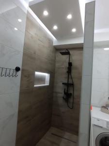 a bathroom with a shower with a toilet and a sink at STAN NA DAN BIJELJINA in Bijeljina