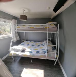 a small bedroom with bunk beds in a room at Watkin - Snowdon Cabins Dog friendly holiday let - Caernarfon in Caeathro