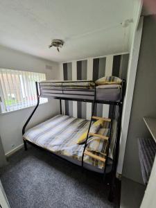 a bunk bed room with two bunk beds in it at Ranger - Snowdon Cabins holiday let Caernarfon in Caeathro