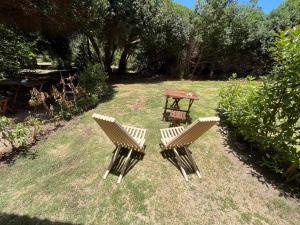 duas cadeiras e uma mesa num quintal em El Arbol Eco Lodge em La Serena