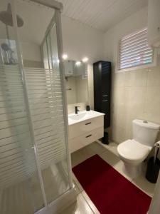 a bathroom with a shower and a toilet and a sink at ALIZÉ CAP in Sainte-Anne