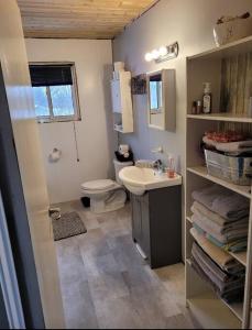 a bathroom with a toilet and a sink at Family friendly cottage ☆walking distance to beach in Lion's Head