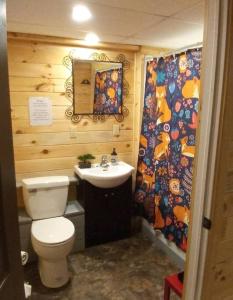 a bathroom with a toilet and a sink at Family friendly cottage ☆walking distance to beach in Lions Head