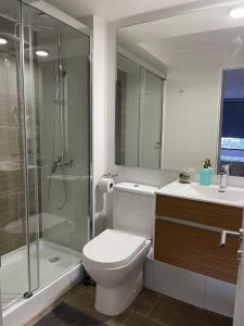 a bathroom with a toilet and a shower and a sink at Puerto Montt apartamento en playa Pelluco in Puerto Montt