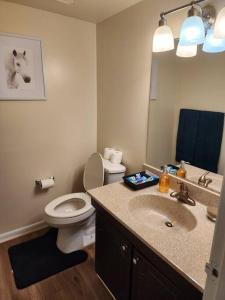 a bathroom with a sink and a toilet and a mirror at Lovely 2 Bedroom Condo with Pool in Chapel Hill
