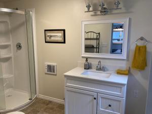 y baño con lavabo, ducha y espejo. en Battle Creek Ranch, Wells Gray Park, en Clearwater