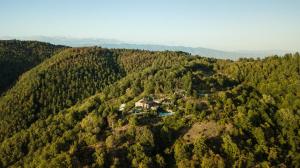 eine Luftansicht eines Hauses inmitten eines Waldes in der Unterkunft Podere L'Aquila in Gaiole in Chianti