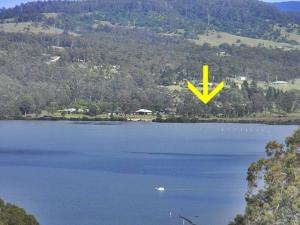 a yellow bird flying over a large lake at Top of the Lake Holiday Units in Merimbula