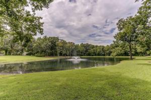 a pond with a fountain in the middle of a park at Bonne Terre Inn Magnolia Room 