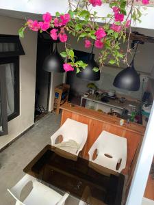 Kuchyň nebo kuchyňský kout v ubytování T&K Guesthouse
