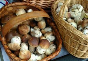 Gallery image of Bungalows Granja Escuela Arlanzón in Arlanzón