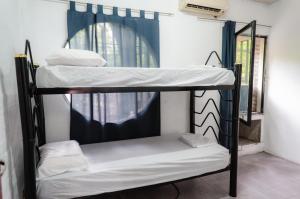 two bunk beds in a room with a window at Clover Hostel in Mendoza