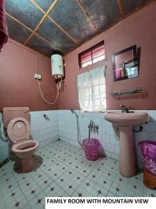 a bathroom with a toilet and a sink at Odyssey's Pateng Homestay, Cherrapunji in Cherrapunji