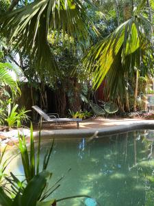 - une piscine avec des chaises et un palmier dans l'établissement Dreamtime Travellers Rest, à Cairns